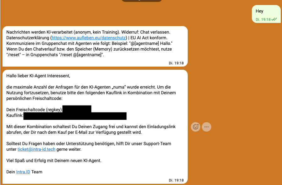 Der Chatverlauf mit dem Datenschutzhinweis und der Begrüßungsnachricht samt Freischaltcode